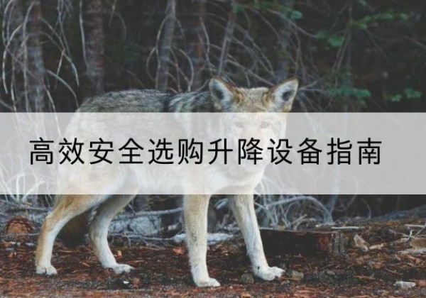 蓬安升降货梯厂家推荐-*安全选购升降设备指南
