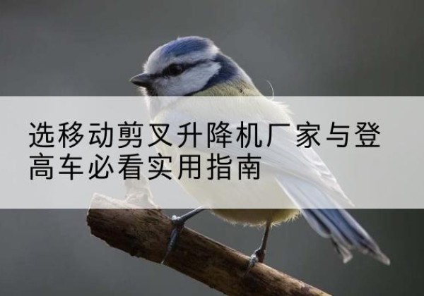 蓬安电动升降机厂家-选移动剪叉升降机厂家与登高车必看实用指南