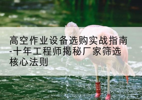 蓬安剪叉式升降机厂家-高空作业设备选购实战指南-十年工程师揭秘厂家筛选核心法则